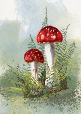 Toadstools