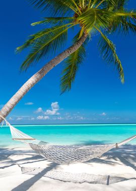 hammock on the beach