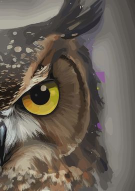 Angry Owl Close Up