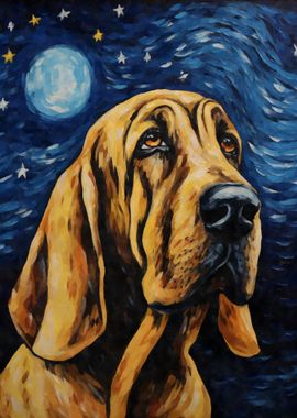 Bloodhound Starry Night