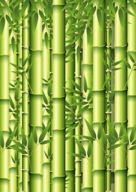 bamboo