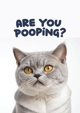 Funny cat toilet 