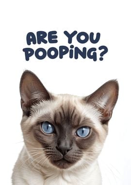 Funny cat toilet 