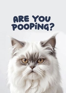 Funny cat toilet 