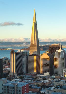 The TransAmerica Building