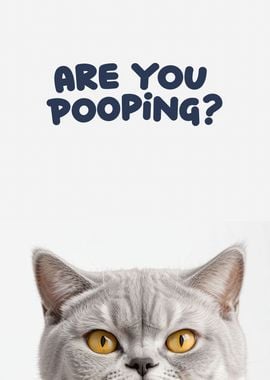 Funny cat toilet 