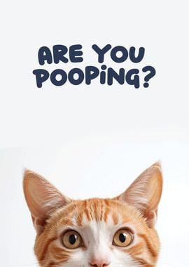 Funny cat toilet 