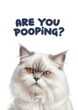 Funny cat toilet 