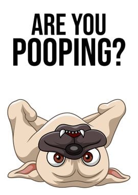 Funny Dog Are You Pooping