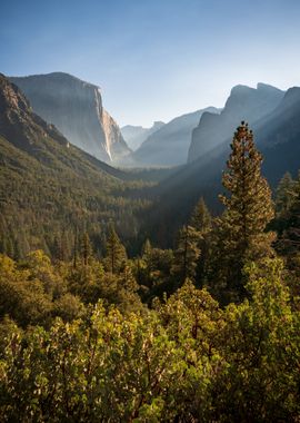 Yosemite National Park