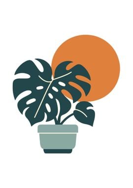 Monstera Delight Sunset