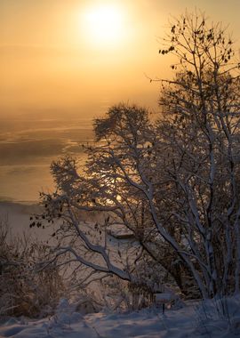 Winter morning