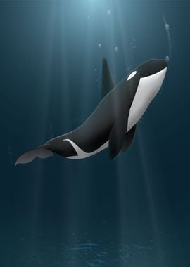 Killer whale at sea