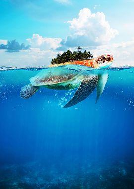 Turtle island in the sea