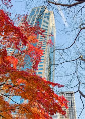 City in Autumn