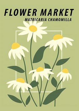 Flower market Chamomile