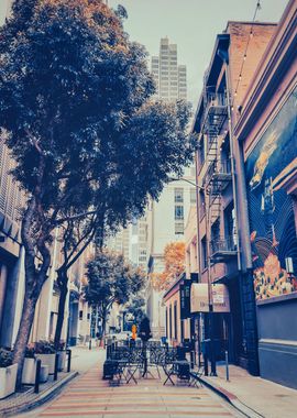 San Francisco Alley