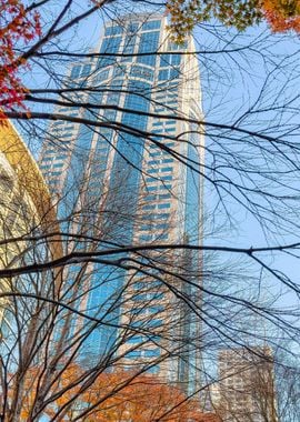 Seattle Skyline