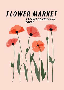 Flower market Poppy