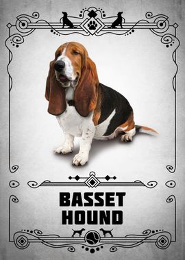 Basset Hound