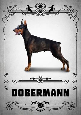 Dobermann