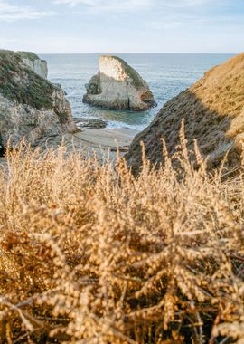 Shark Fin Cove California