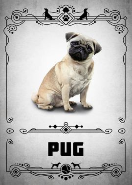 Pug