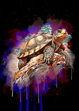 Turtle Animals 3