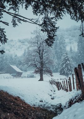 Snowfall in Switzerland