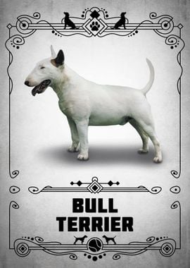 Bull Terrier