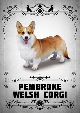 Pembroke Welsh Corgi