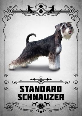 Standard Schnauzer