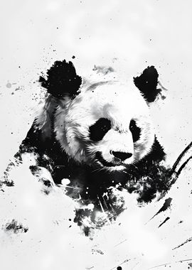 Panda Portrait