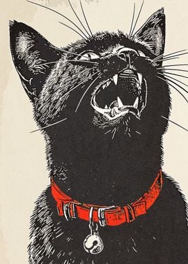 Black Cat Vintage