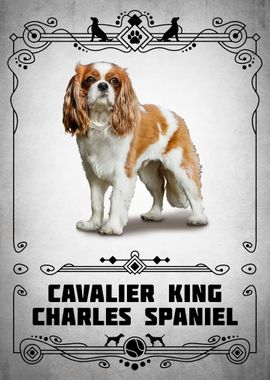 Cavalier King Charles Span