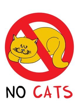 No cats