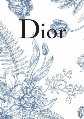 Dior fashion