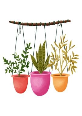 Hanging potted plants