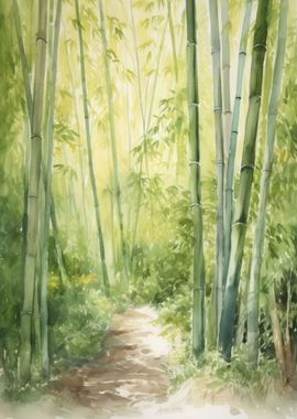 Bamboo Forest