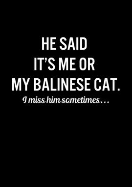 Funny Cats My Balinese Cat