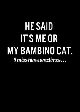 Funny Cats My Bambino Cat