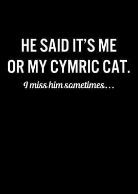 Funny Cats My Cymric Cat