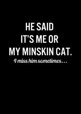 Funny Cats My Minskin Cat