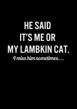 Funny Cats My Lambkin Cat