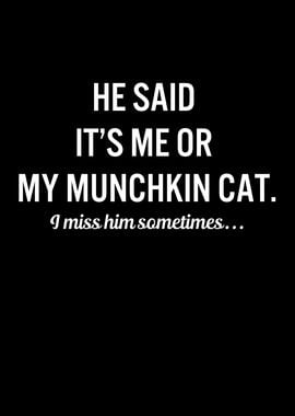 Funny Cats My Munchkin Cat