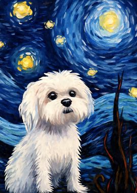 Maltese Dog Starry Night