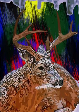 Deer Animals 22