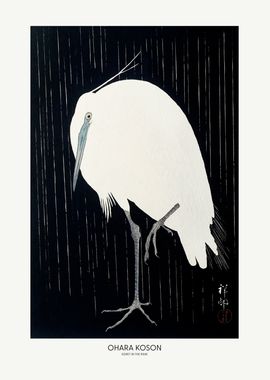 Egret In The Rain