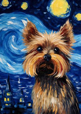 Yorkshire Terrier Starry