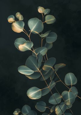 Eucalyptus Gold Leaf